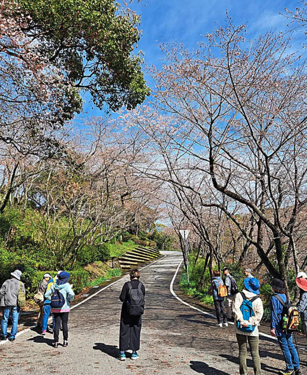 岡豊山 ／ 南国市観光案内人の会　観光ガイド