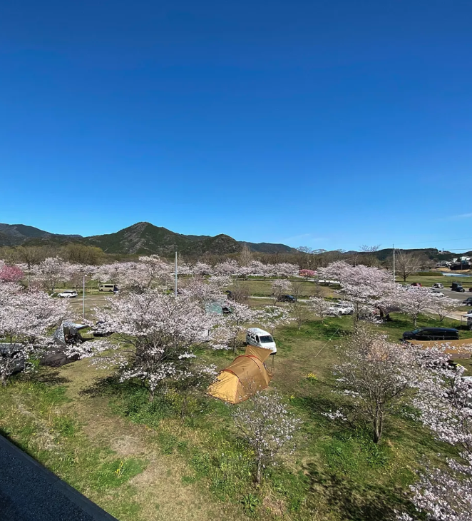宮の前公園キャンプ場
